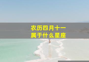 农历四月十一属于什么星座