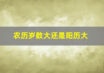 农历岁数大还是阳历大