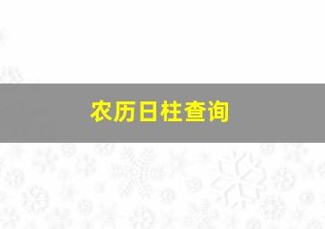 农历日柱查询