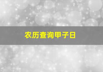 农历查询甲子日