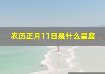 农历正月11日是什么星座