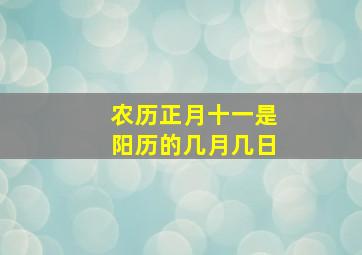 农历正月十一是阳历的几月几日