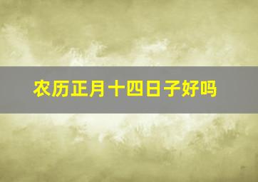 农历正月十四日子好吗