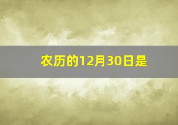 农历的12月30日是