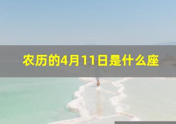 农历的4月11日是什么座