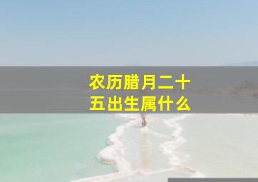 农历腊月二十五出生属什么