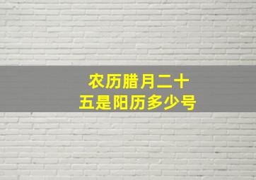 农历腊月二十五是阳历多少号