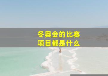 冬奥会的比赛项目都是什么