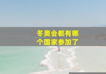 冬奥会都有哪个国家参加了