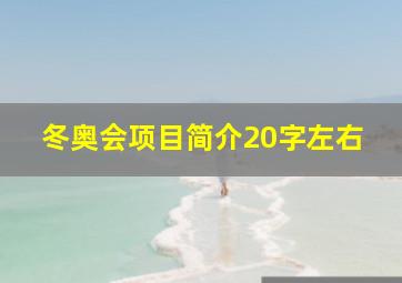 冬奥会项目简介20字左右