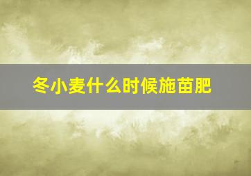 冬小麦什么时候施苗肥