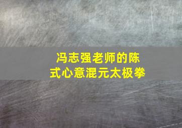 冯志强老师的陈式心意混元太极拳