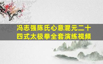 冯志强陈氏心意混元二十四式太极拳全套演练视频