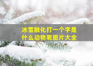 冰雪融化打一个字是什么动物呢图片大全