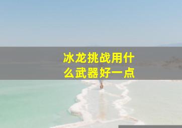 冰龙挑战用什么武器好一点