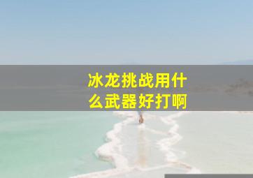 冰龙挑战用什么武器好打啊