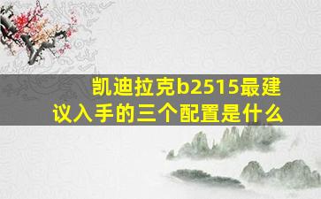 凯迪拉克b2515最建议入手的三个配置是什么