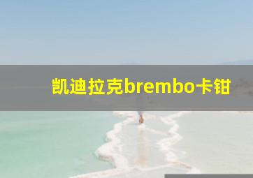 凯迪拉克brembo卡钳