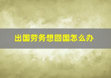 出国劳务想回国怎么办