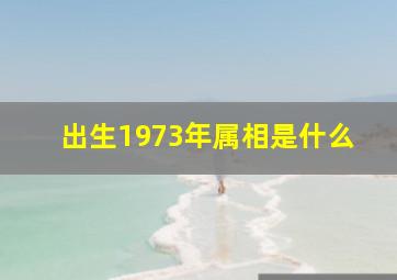 出生1973年属相是什么