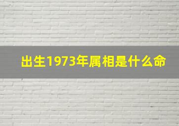 出生1973年属相是什么命