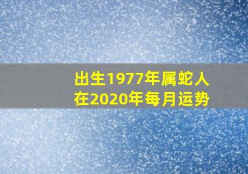 出生1977年属蛇人在2020年每月运势