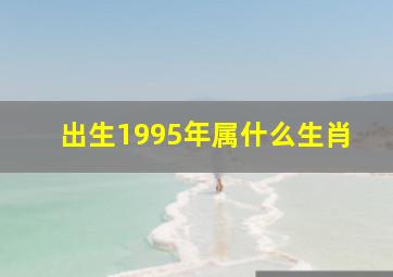 出生1995年属什么生肖