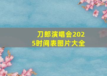 刀郎演唱会2025时间表图片大全