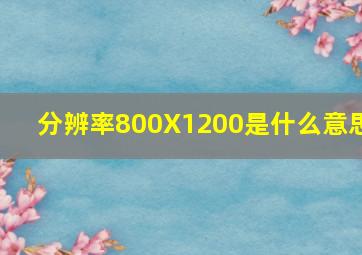 分辨率800X1200是什么意思