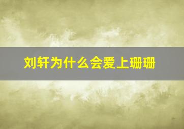 刘轩为什么会爱上珊珊