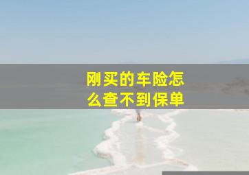 刚买的车险怎么查不到保单