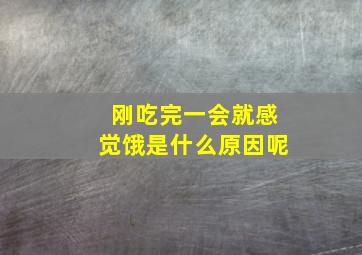 刚吃完一会就感觉饿是什么原因呢