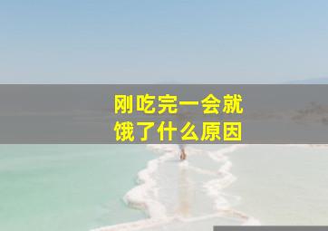 刚吃完一会就饿了什么原因