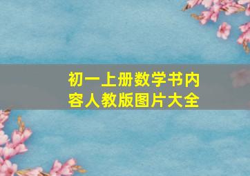 初一上册数学书内容人教版图片大全