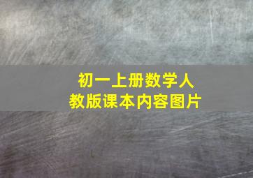 初一上册数学人教版课本内容图片