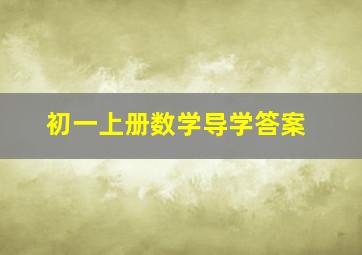 初一上册数学导学答案