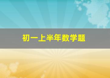 初一上半年数学题