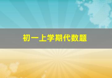 初一上学期代数题