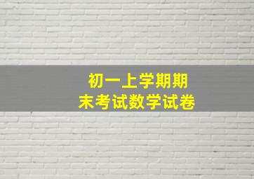 初一上学期期末考试数学试卷