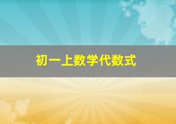 初一上数学代数式