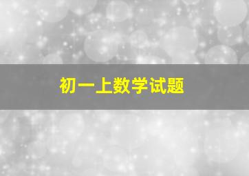 初一上数学试题