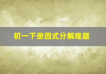 初一下册因式分解难题