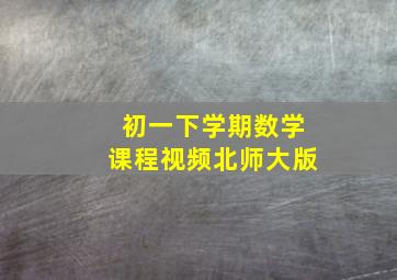 初一下学期数学课程视频北师大版