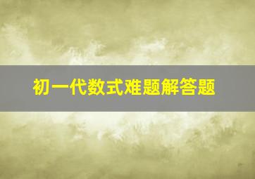 初一代数式难题解答题