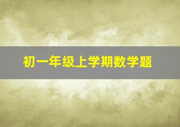 初一年级上学期数学题