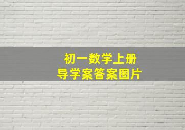 初一数学上册导学案答案图片