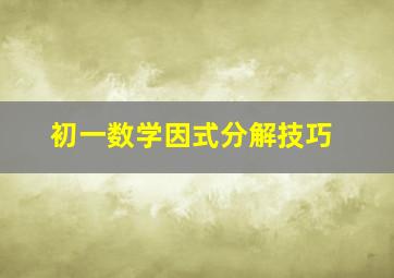 初一数学因式分解技巧