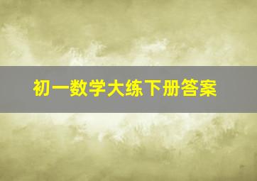 初一数学大练下册答案