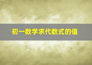 初一数学求代数式的值