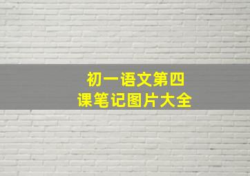 初一语文第四课笔记图片大全